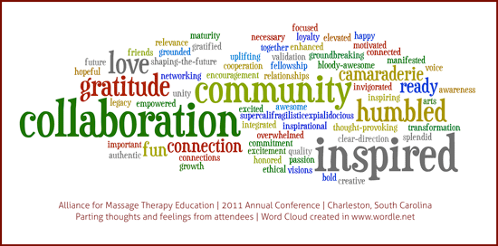 AFMTE 2011 Conference Experience
